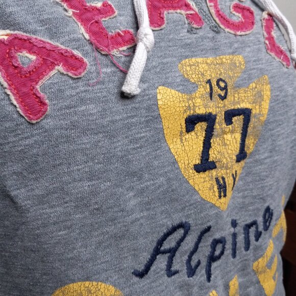 American Eagle 1977 Logo Hoodie size M Women Alpine Chalet - Picture 6 of 8